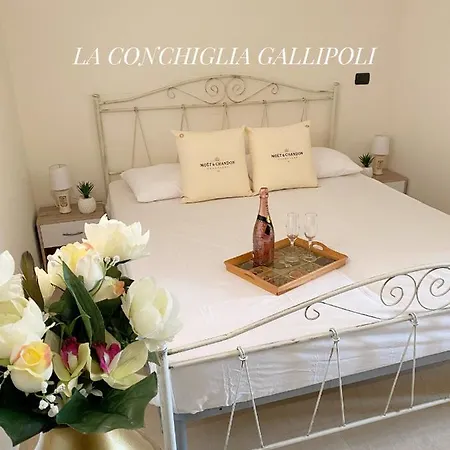 La Conchiglia *