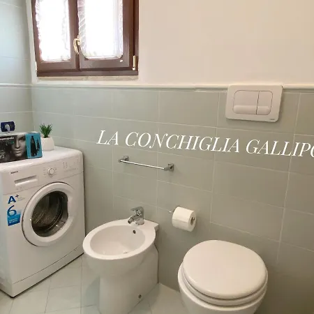 La Conchiglia *